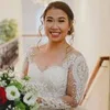 stephyssia