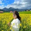 kristelfulgar